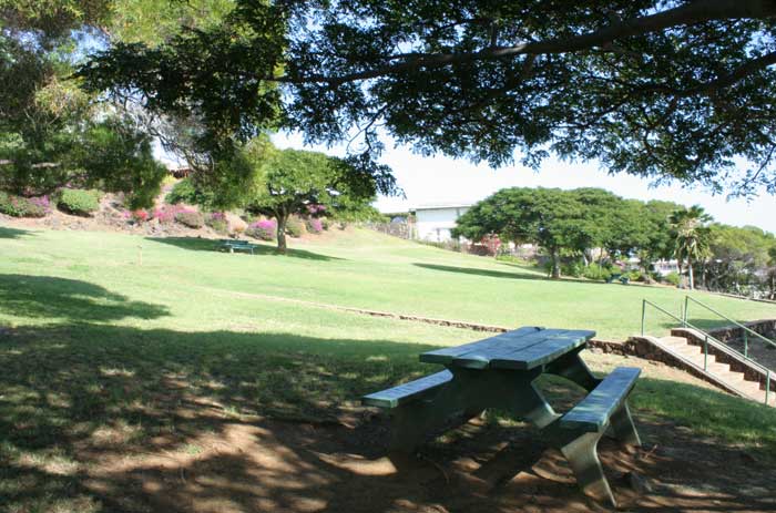 Laukahi Park contains lawn, trees and picnic benches.